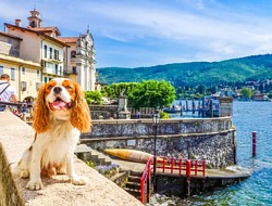 Urlaub mit Hund am Lago Maggiore