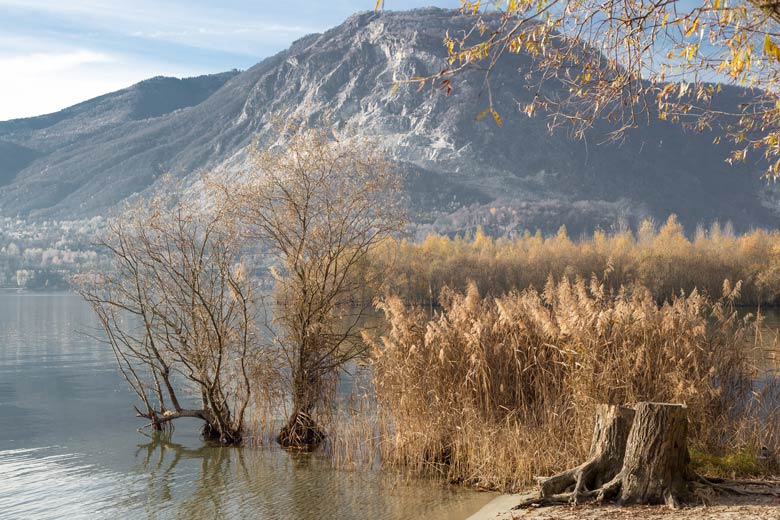 Naturreservat Fondotoce