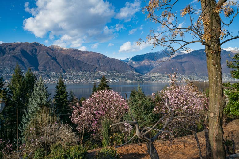 Parco Botanico del Gambarogno