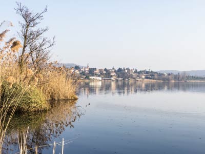 Bild vom Comabbio See