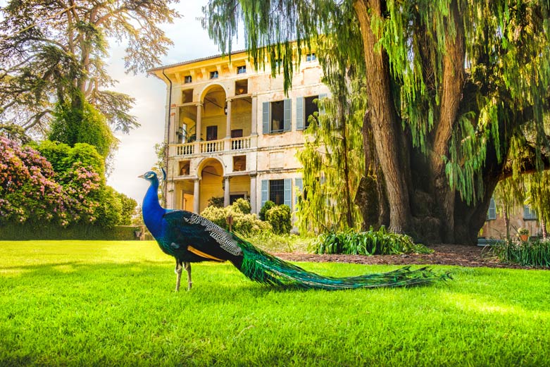 Palazzo Borromeo der Isola Madre Palazzo Borromeo der Isola Madre