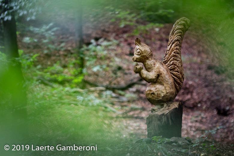 Wunderschöne Wege verzweigen sich im Regionalpark