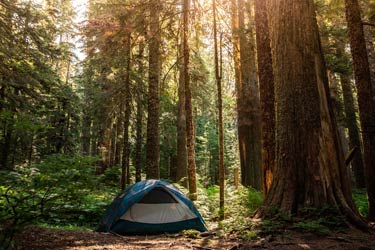 Zelt auf dem Camping Piccolo Paradiso