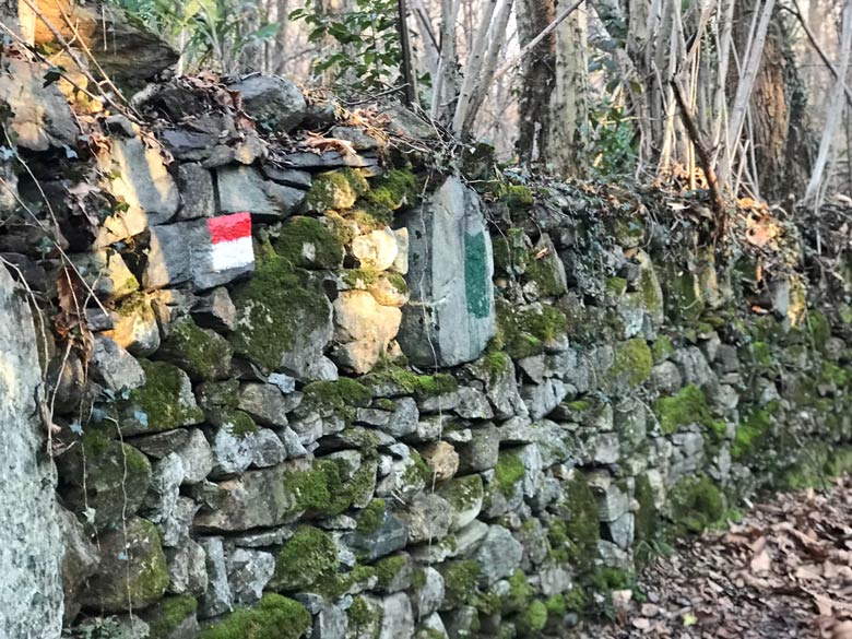 Beschilderung vom Torbiera (Moorgebiet) von Laveno Mombello Rundgang