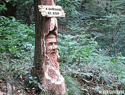 Märchenwald (Il bosco incantato)
