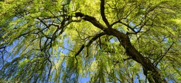 Parco Naturale dei Lagoni di Mercurago bei Arona