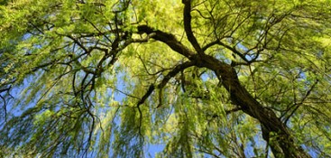 Parco Naturale dei Lagoni di Mercurago bei Arona