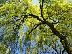 Parco Naturale dei Lagoni di Mercurago bei Arona