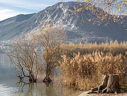 Naturreservat Fondotoce