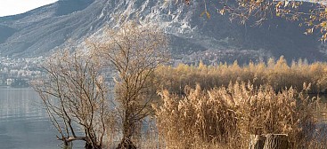 Naturreservat Fondotoce