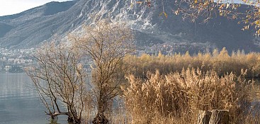 Naturreservat Fondotoce