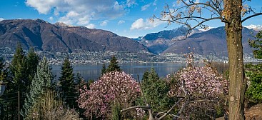 Parco Botanico del Gambarogno