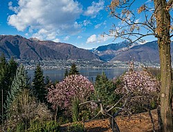 Parco Botanico del Gambarogno