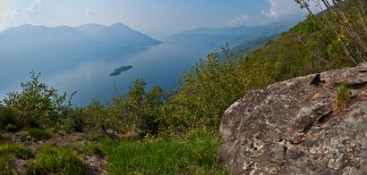 Felsterrassen von Ronco sopra Ascona