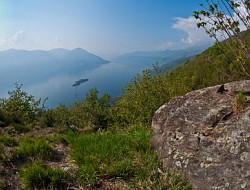 Felsterrassen von Ronco sopra Ascona